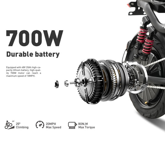 700W 48V/20Ah Folding Electric Bike for Adults