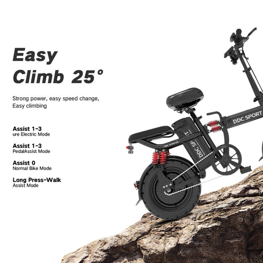 700W 48V/20Ah Folding Electric Bike for Adults