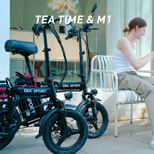700W 48V/20Ah Folding Electric Bike for Adults
